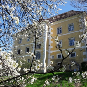 Schloss-Limberg_Baumbluete